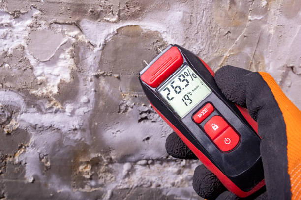 Best Localized Mold Remediation (e.g., coastal areas, humid climates) in Fresno, CA
