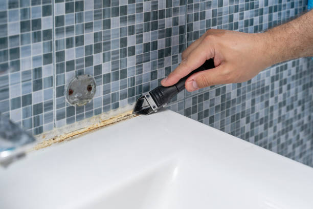 Best Emergency Mold Remediation in Fresno, CA