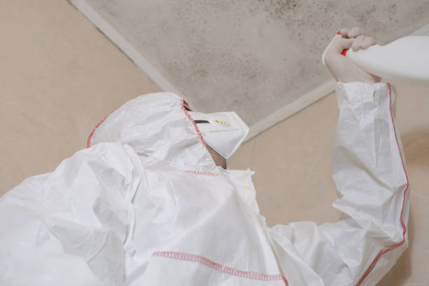 Best Mold Remediation for Schools in Fresno, CA